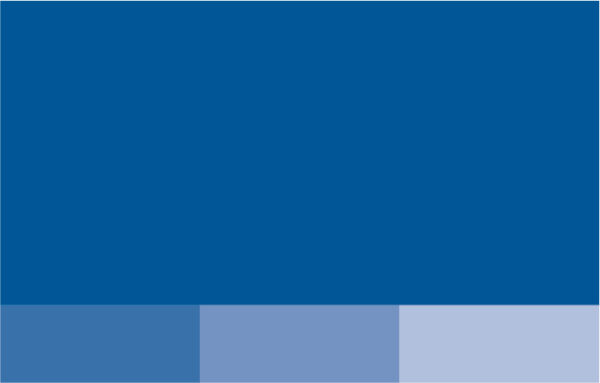 Visual Identity - Pi Kappa Phi